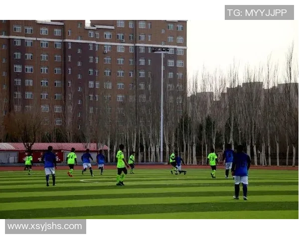 足球明星奈曼的职业生涯与成就全解析